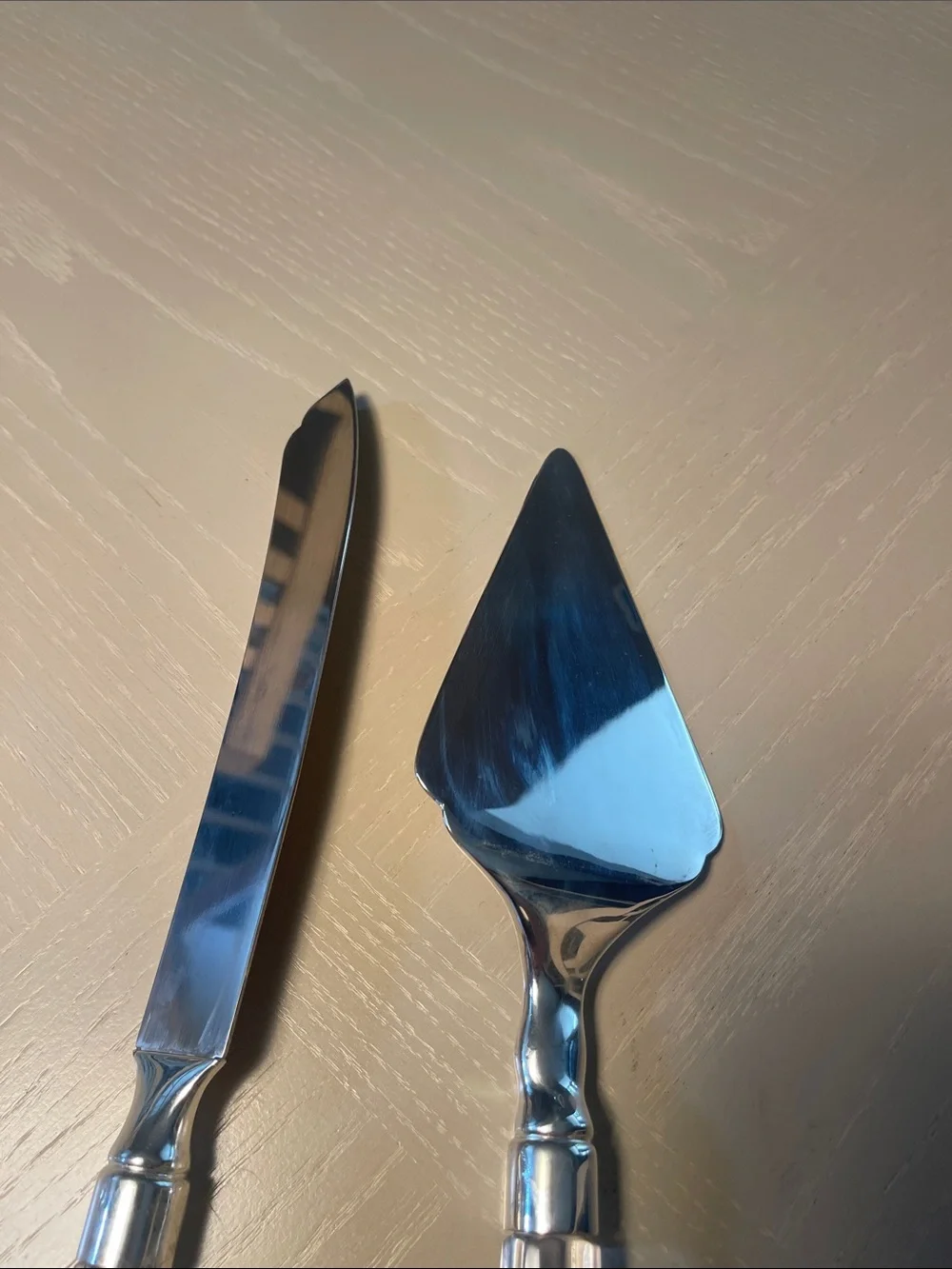 Clear Handle Cake Knife and Server Set - Silver Blades, Clear Acrylic Handles